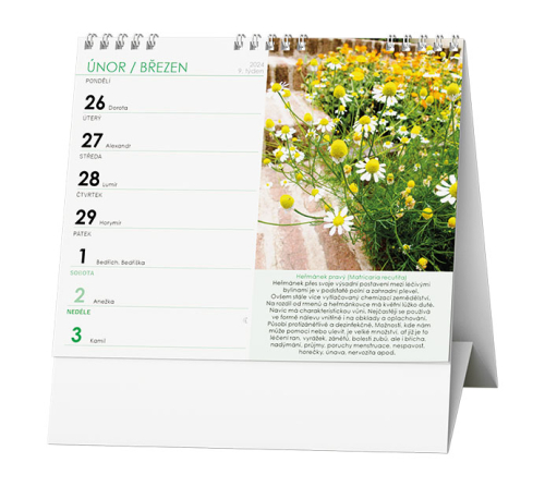 Kalendář stolní týdenní BSK6 Léčivé rostliny 2024