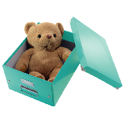 Střední univerzální krabice Leitz Click & Store Ledová modrá